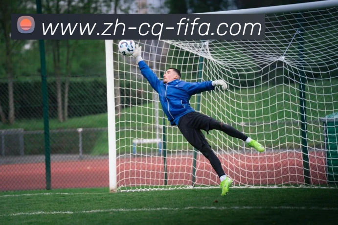 世界杯赛程平台生态图